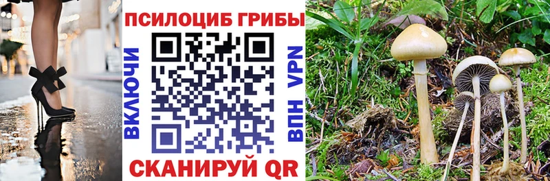 omg tor  Электрогорск  Галлюциногенные грибы ЛСД 