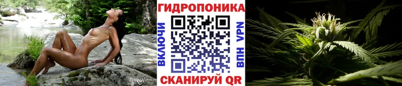 hydra   как найти наркотики  Электрогорск  Каннабис MAZAR 